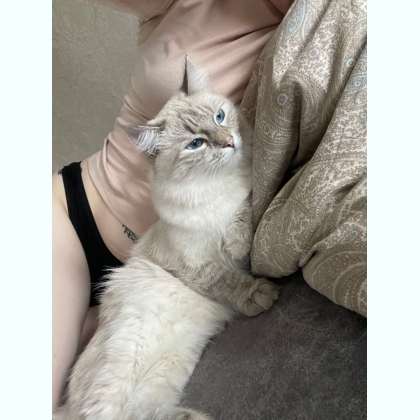 �� �a �ece�o� � �����e ���e��e 